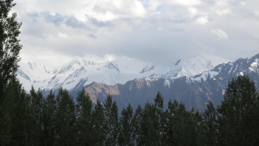 Streamlet Homestay Leh Bagian luar foto